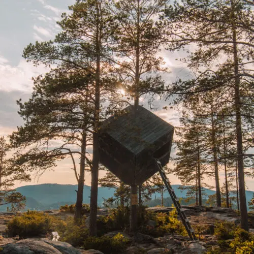 the tree cube treehouse and wind shelter handing from a tree in a green forest at sunset