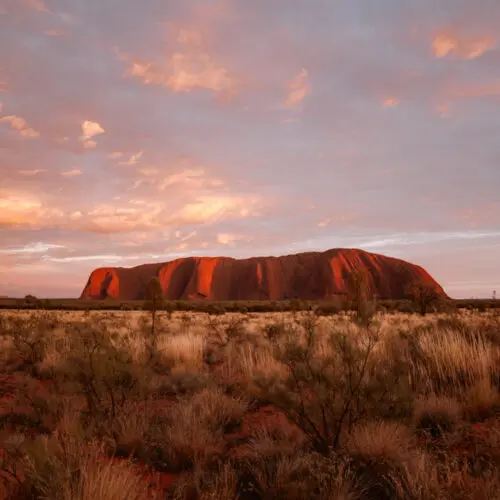 Uluru at sunset from the uluru sunset vieweing point.