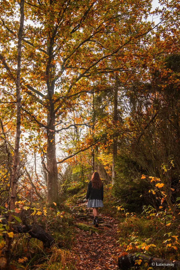 Girl walking through autumn leaf forest to Smörkullen viewpoint in Falkenberg