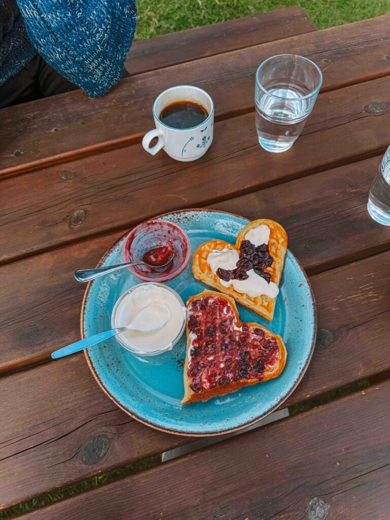 Renndølsetra waffles with black currant jam and sour cream